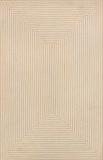 Mya Braided Indoor/Outdoor Rug primary image