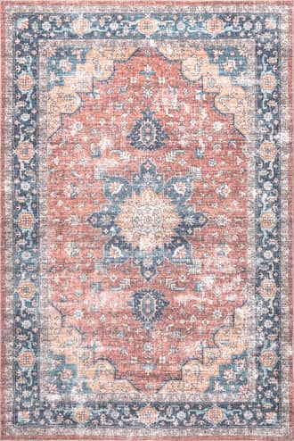 Adina Washable Distressed Rug primary image