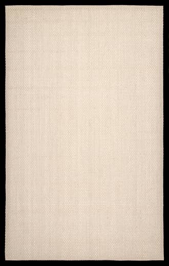 Proper Sisal and Cotton Rug primary image