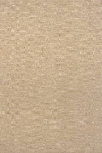 Beige 2' x 3' Cotton Solid Flatweave Rug swatch