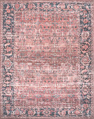 Fiona Distressed Washable Rug primary image