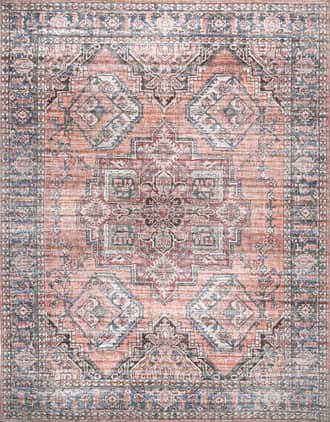 Bri Faded Washable Rug primary image