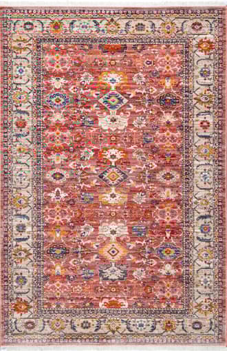 4' x 6' Sivas Fringe Rug primary image