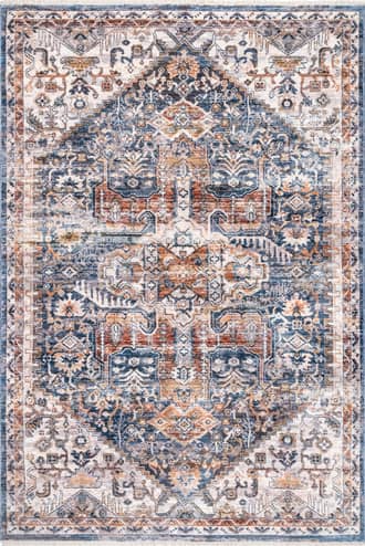 Idina Bordered Medallion Rug primary image