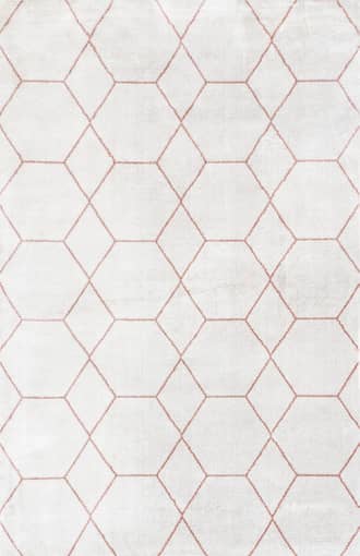 5' x 8' Jacqueline Honeycomb Trellis Rug primary image