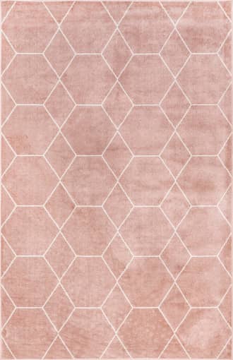 Pink 5' x 8' Jacqueline Honeycomb Trellis Rug swatch