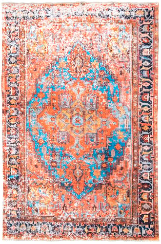 Timeworn Medallion Rug primary image