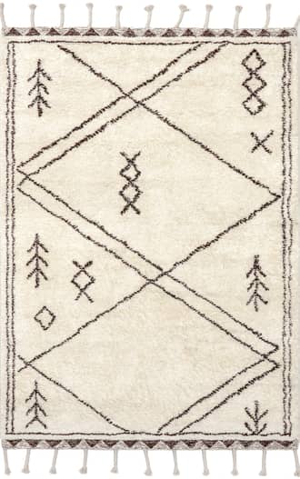 Wool Tasseled Rug primary image