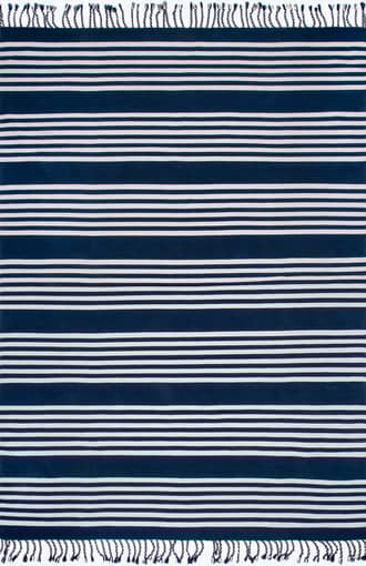3' x 5' Flatwoven Pinstripes with Tassels Rug primary image