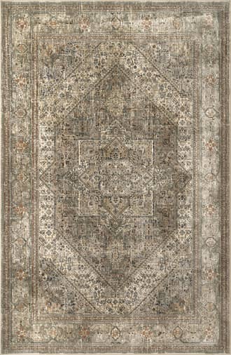 4' x 6' Eldorado Rug primary image