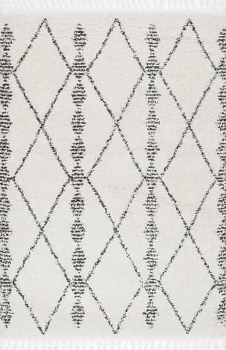 Diamond Helix Tassel Rug primary image