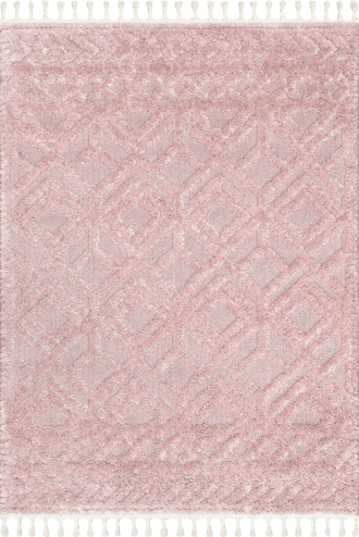 Ramira Raised Trellis Rug primary image