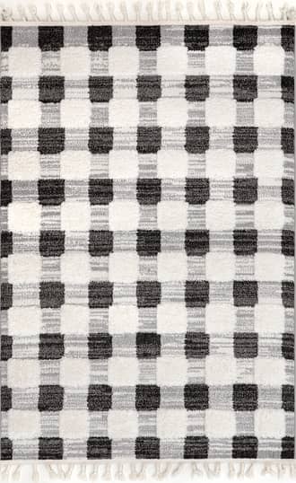 Anahi Lifted Plaid Rug primary image