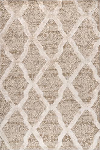 Stephanie Textured Trellis Rug primary image