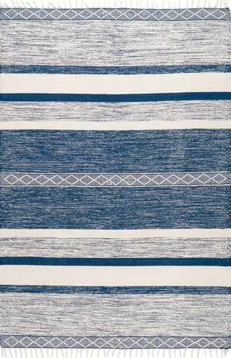 Shaded Striped Fringe Rug primary image