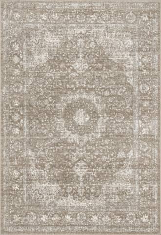 Brown 3' x 5' Distressed Persian Rug swatch