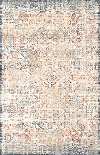 Darlene Vintage Faded Rug primary image