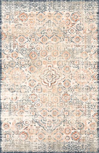 Beige Darlene Vintage Faded Rug swatch