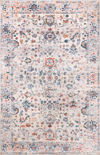 Ashlee Colorful Vintage Rug primary image