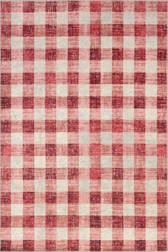 5' x 8' Aubrielle Gingham Plaid Washable Rug primary image