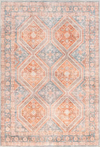 5' x 7' 5" Contessa Washable Vintage Rug primary image