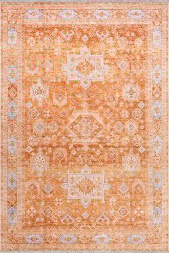 4' x 6' Kaski Medallion Washable Rug primary image