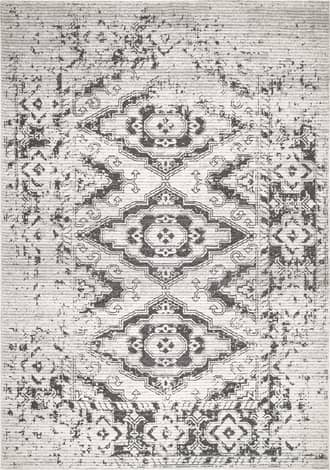 Faded Elegance Rug primary image