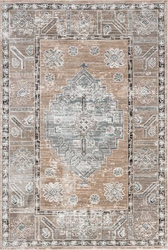 Rust Valara Faded Medallion Rug swatch