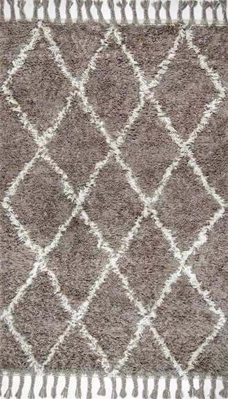 Grey 2' 8" x 6' Shag Rug swatch