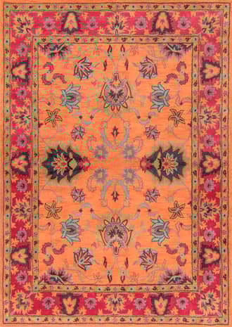 4' x 6' Vibrant Adileh Rug primary image