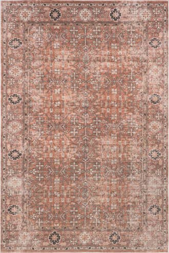 8' x 10' Anjela Vintage Persian Washable Rug primary image