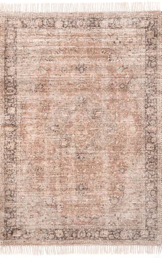 Cecilia Faded Tassel Rug primary image