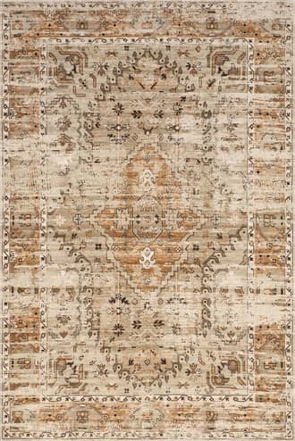 4' x 6' Grazia Fading Medallion Washable Rug primary image