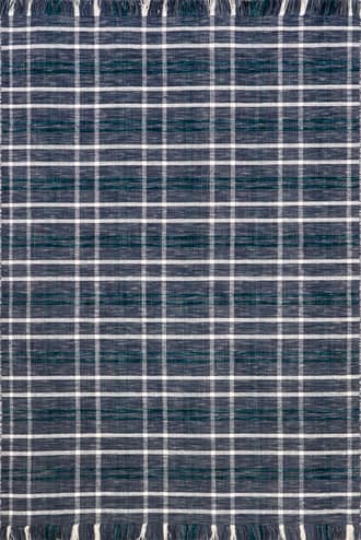 Francisca Plaid Fringed Rug primary image