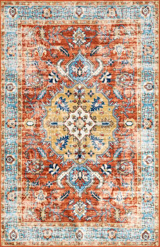 Nessa Washable Vintage Rug primary image