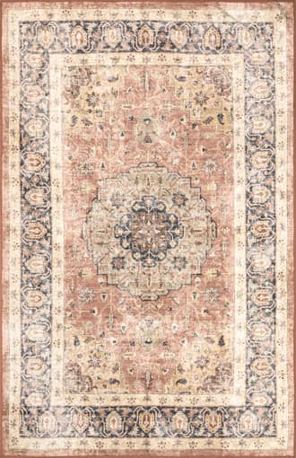 4' x 6' Astreza Washable Distressed Rug primary image