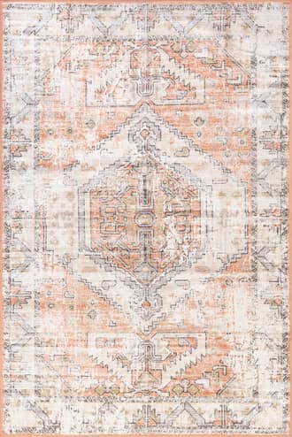 Aarti Medallion Washable Rug primary image