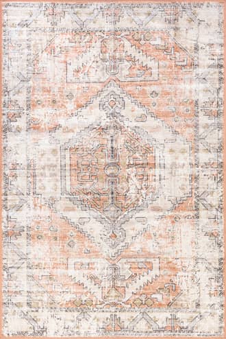 Aarti Medallion Washable Rug primary image