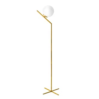 56-inch Inclined Iron Globe Floor Lamp primary image