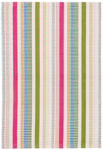 Fruit Stripe Handwoven Indoor/Outdoor Rug primary image