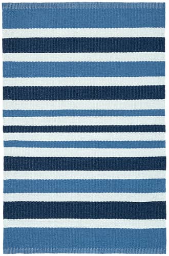 Charlie Stripe Handwoven Indoor/Outdoor Rug primary image