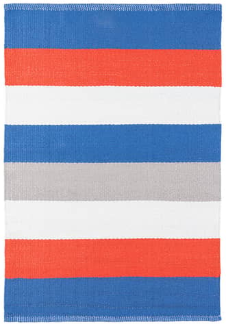 Perry Stripe Handwoven Indoor/Outdoor Rug primary image