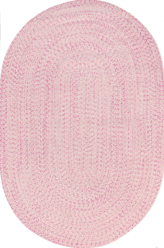 4' x 6' Handmade Braided Indoor/Outdoor Rug primary image