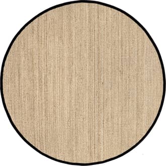 4' Seagrass with Border Rug primary image
