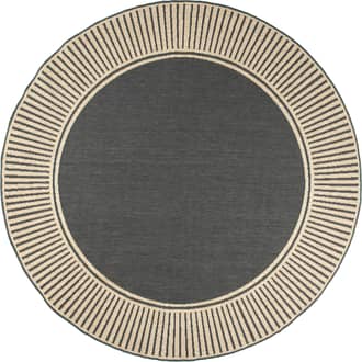 Striped Border Indoor/Outdoor Flatweave Rug primary image