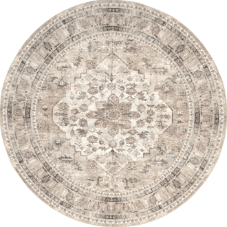 Keyara Washable Stain Resistant Rug primary image