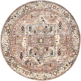 Fringed Medallion Rug primary image