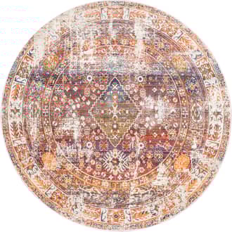 5' Distressed Medallion Rug primary image