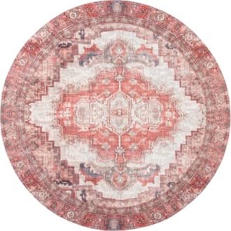 Iris Medallion Washable Rug primary image