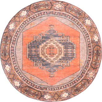 Washable Southwestern Medallion Rug primary image